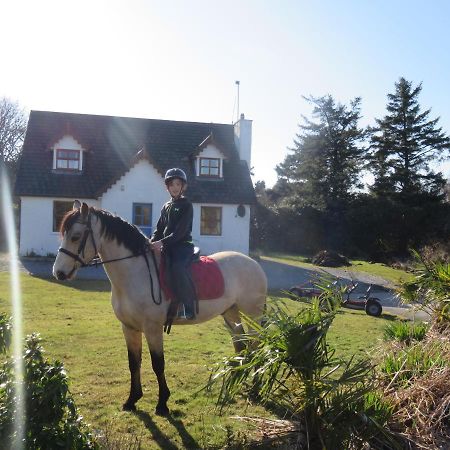 Letterfrack Farmhouse On Equestrian Farm In Letterfrack Beside Connemara National Park Tullywee Bridge Buitenkant foto