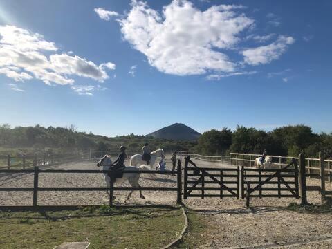 Letterfrack Farmhouse On Equestrian Farm In Letterfrack Beside Connemara National Park Tullywee Bridge Buitenkant foto
