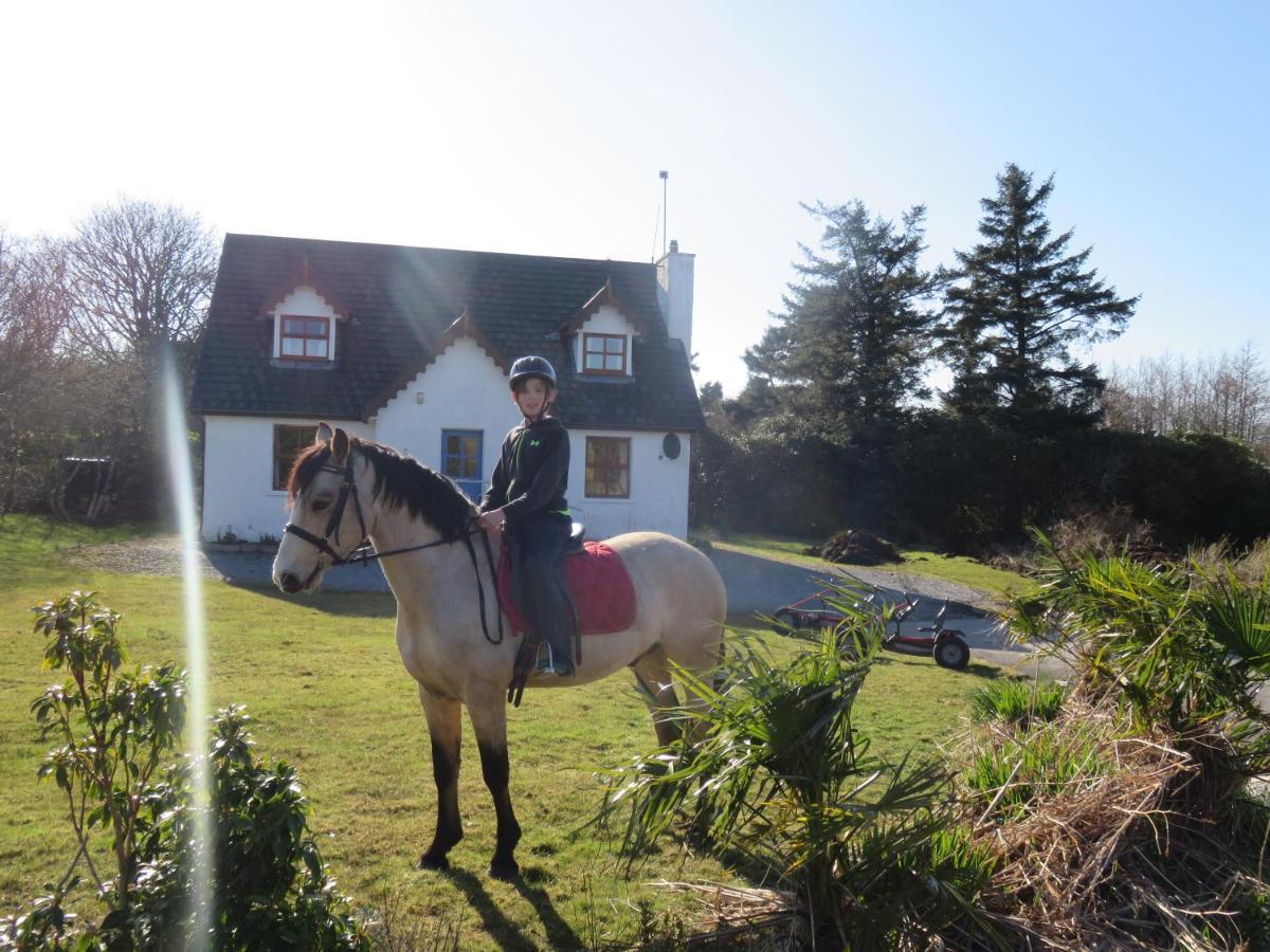 Letterfrack Farmhouse On Equestrian Farm In Letterfrack Beside Connemara National Park Tullywee Bridge Buitenkant foto