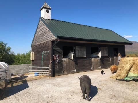 Letterfrack Farmhouse On Equestrian Farm In Letterfrack Beside Connemara National Park Tullywee Bridge Buitenkant foto