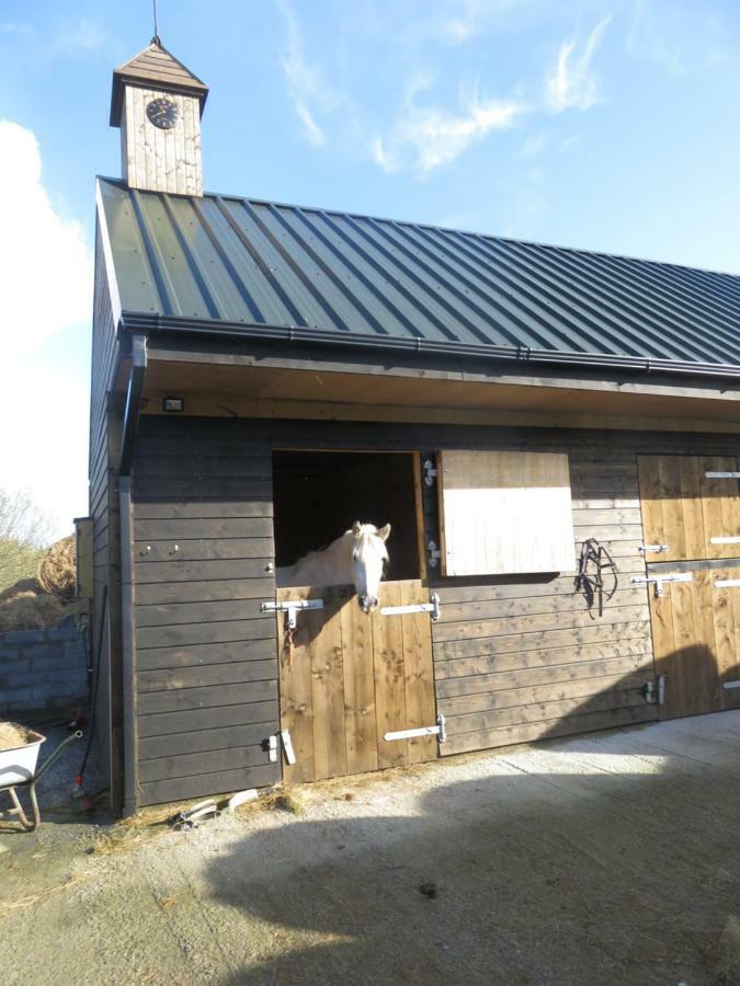 Letterfrack Farmhouse On Equestrian Farm In Letterfrack Beside Connemara National Park Tullywee Bridge Buitenkant foto