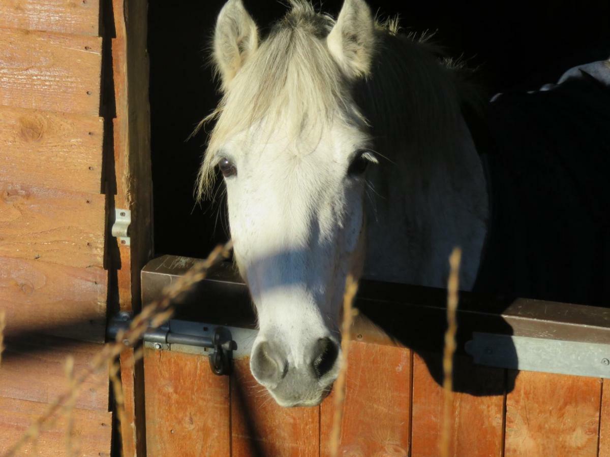 Letterfrack Farmhouse On Equestrian Farm In Letterfrack Beside Connemara National Park Tullywee Bridge Buitenkant foto